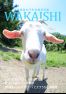 内子町就農事例集『WAKAISHI』第２号