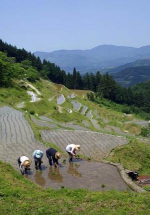 景観まちづくり