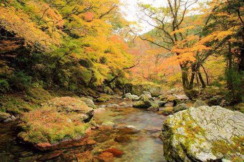 小田深山の紅葉
