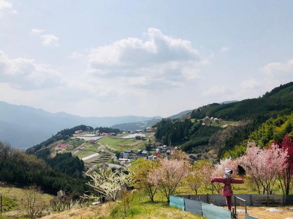 野村地区