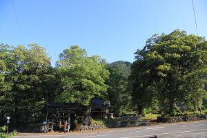 広瀬神社と巨樹のケヤキ、イチイガシ