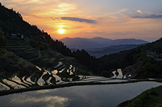 泉谷の棚田