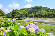 小田川