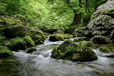 小田深山渓谷