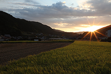 参川地区の夕焼け