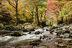 小田深山渓谷