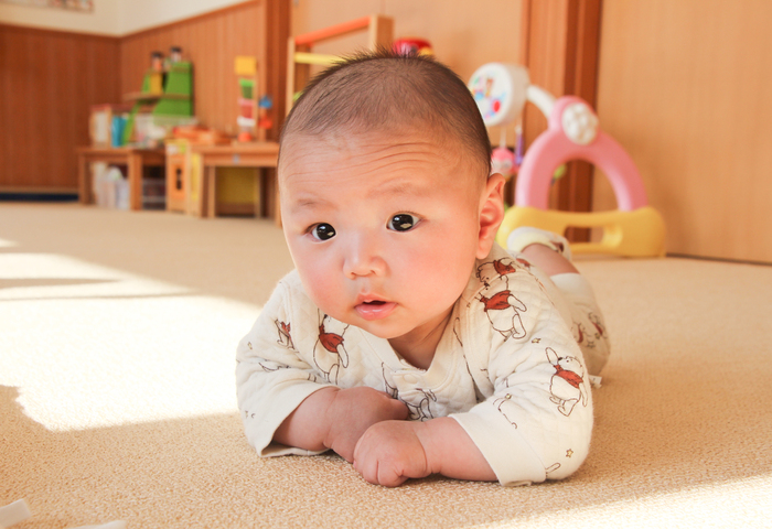 ちはや君の写真