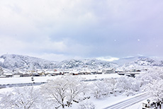 小田川の雪景色