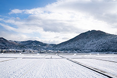 平岡地区の雪景色