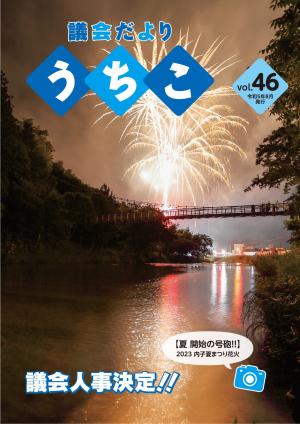 46号
