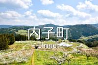 協力隊
