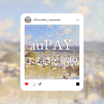 auPAYふるさと納税