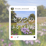 セゾンのふるさと納税