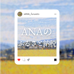 ANAのふるさと納税