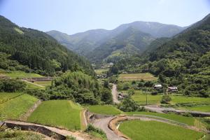 上川集落の風景（水田）