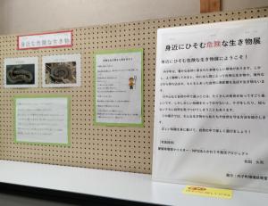 身近にひそむ危険な生き物１