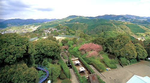 公園全景