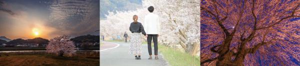 ノミネート4月1