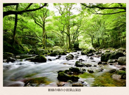 新緑の頃の小田深山渓谷