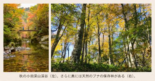 秋の小田深山渓谷