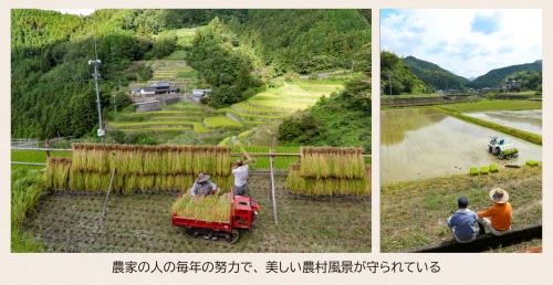 美しい農村風景が守られている