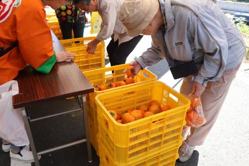 柿即売会