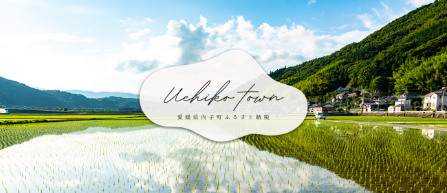 内子町ふるさと納税